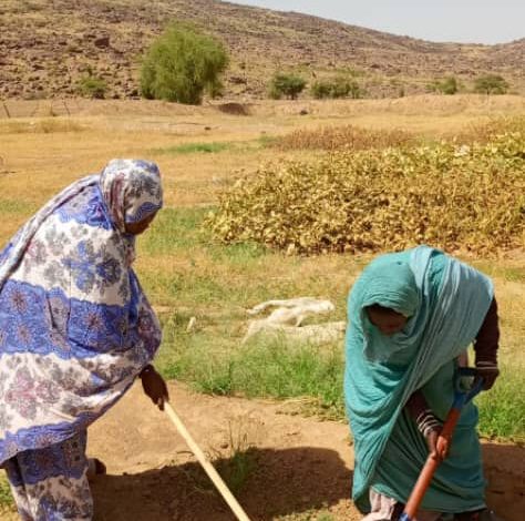 صورة احسي الطين / فتيات تم تكوينهم من طرف praps2 في مجال الزراعة يستعدون  لتغيير واقع الزراعة