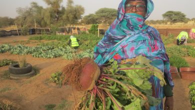 صورة كيفه / كيفه أون لاين في زيارة  لمشروع  اميمه بنت سعد بوه لزراعة الخضروات